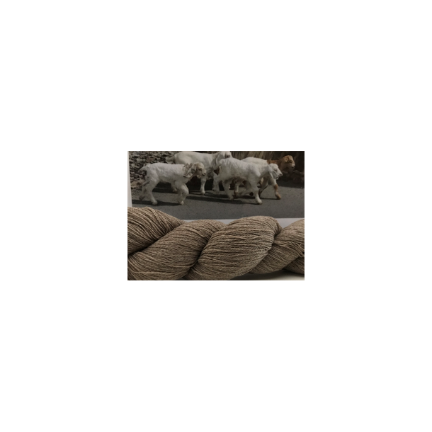 Killingens Frste 700 <br/>ECO NATURLIG BRUN